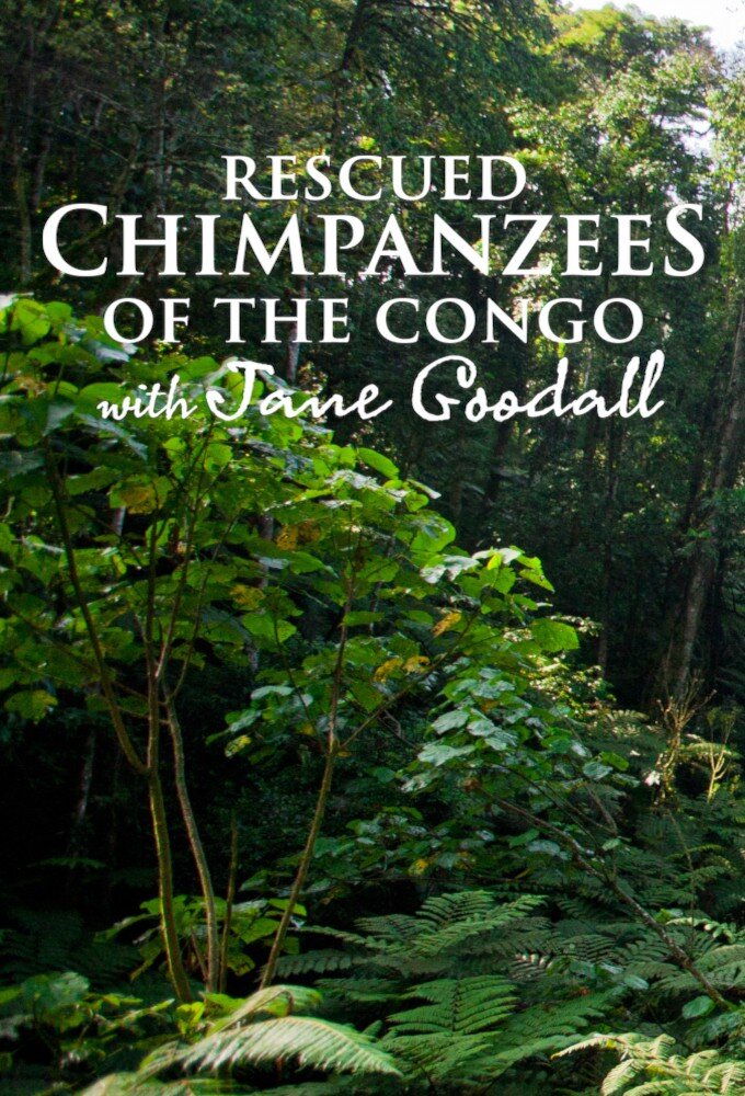 Rescued Chimpanzees of the Congo with Jane Goodall ne zaman