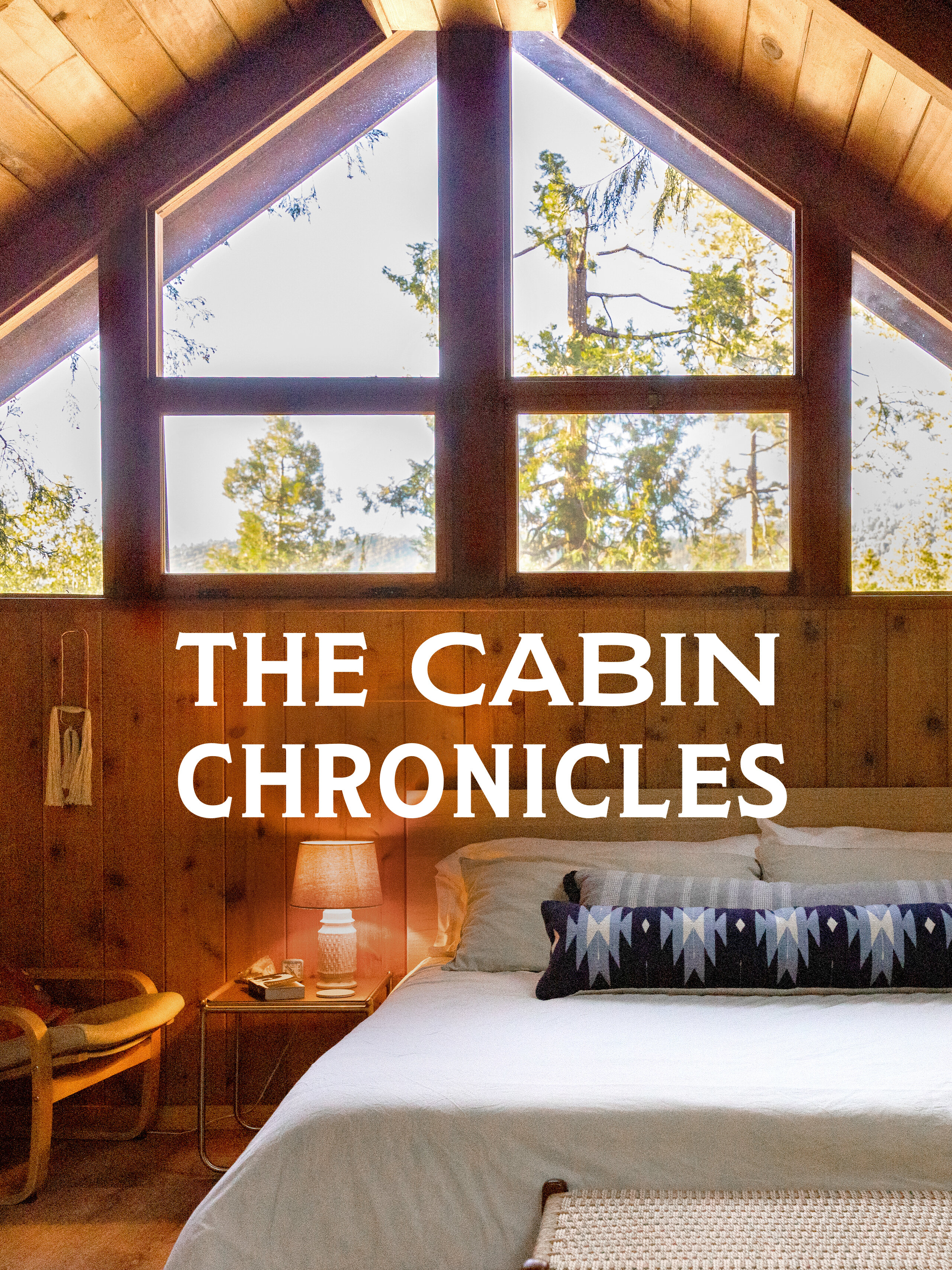 The Cabin Chronicles ne zaman