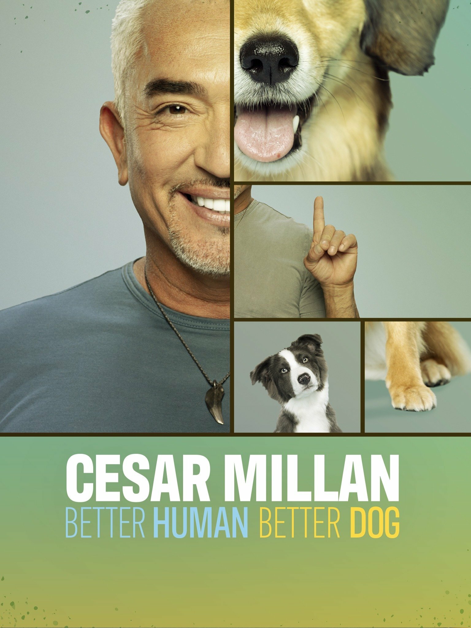 Cesar Millan: Better Human Better Dog ne zaman