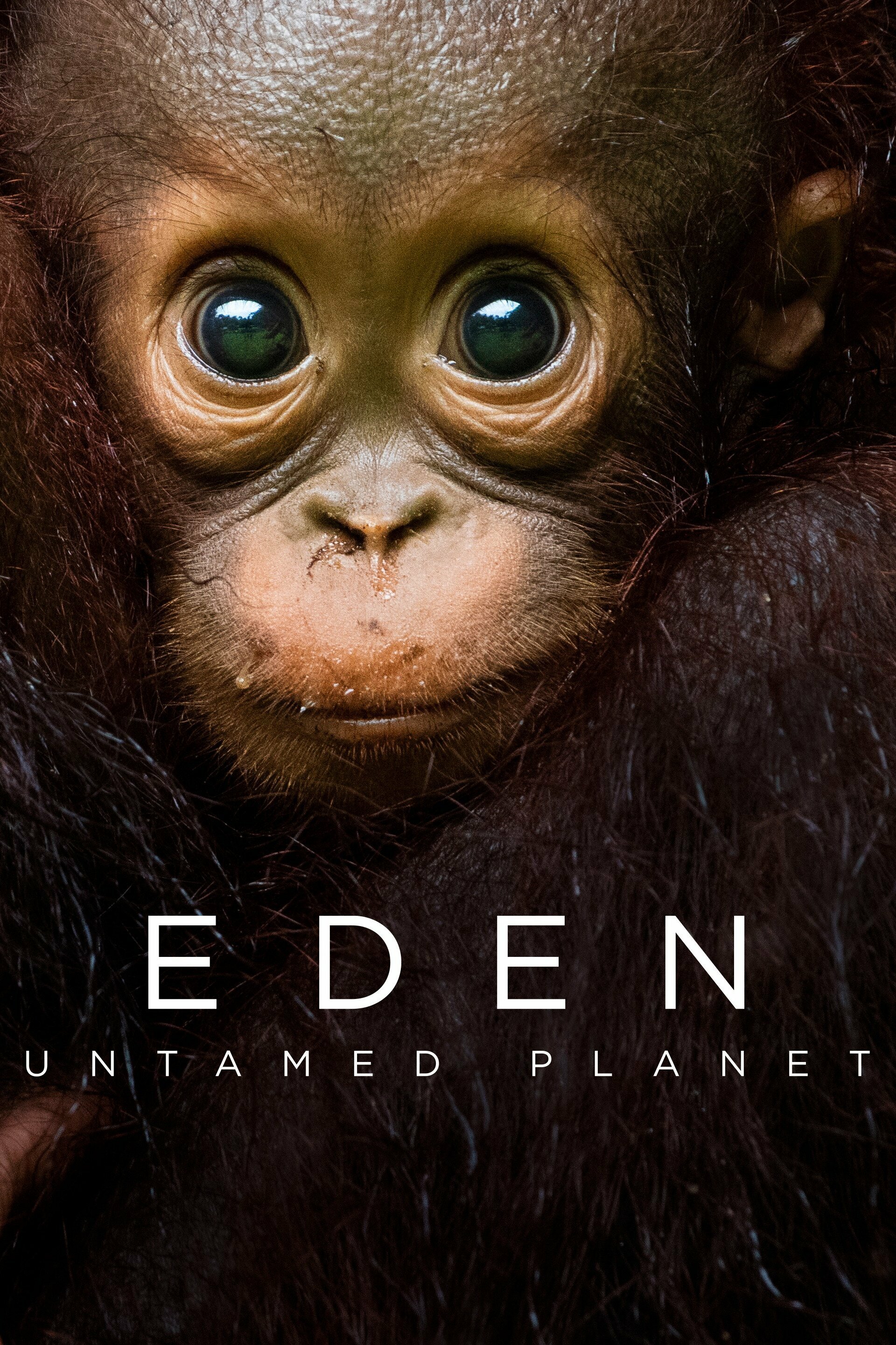 Eden: Untamed Planet ne zaman