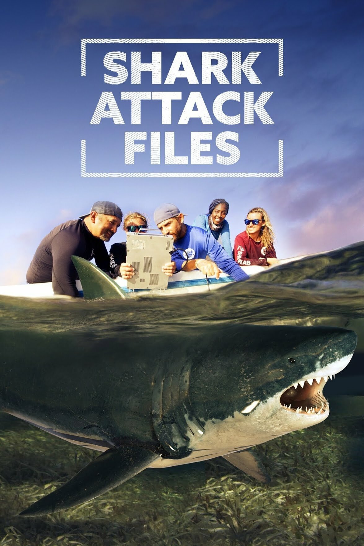 Shark Attack Files ne zaman