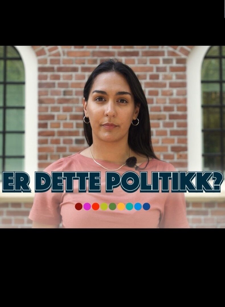 Er dette politikk? ne zaman