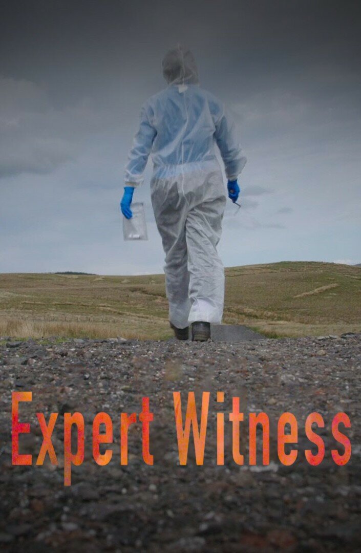 Expert Witness ne zaman