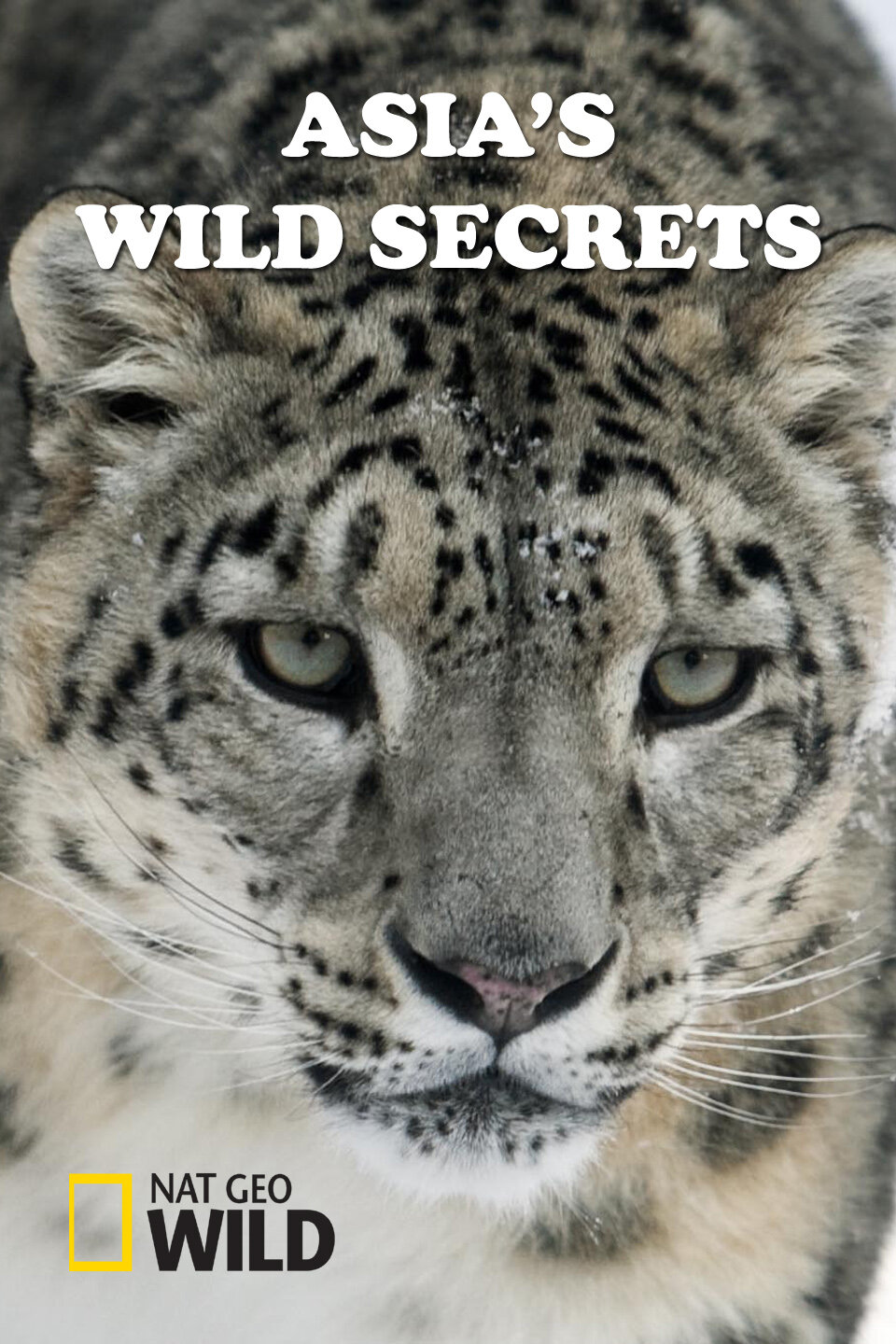 Asia's Wild Secrets ne zaman