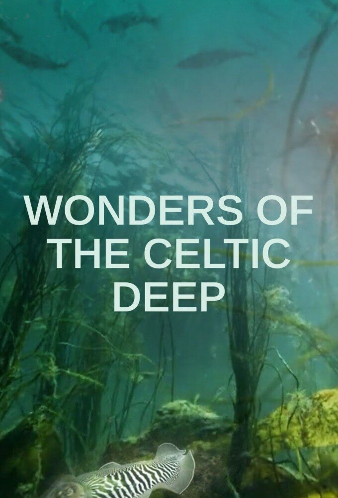 Wonders of the Celtic Deep ne zaman