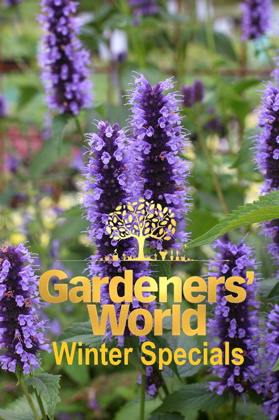 Gardeners' World Winter Specials ne zaman