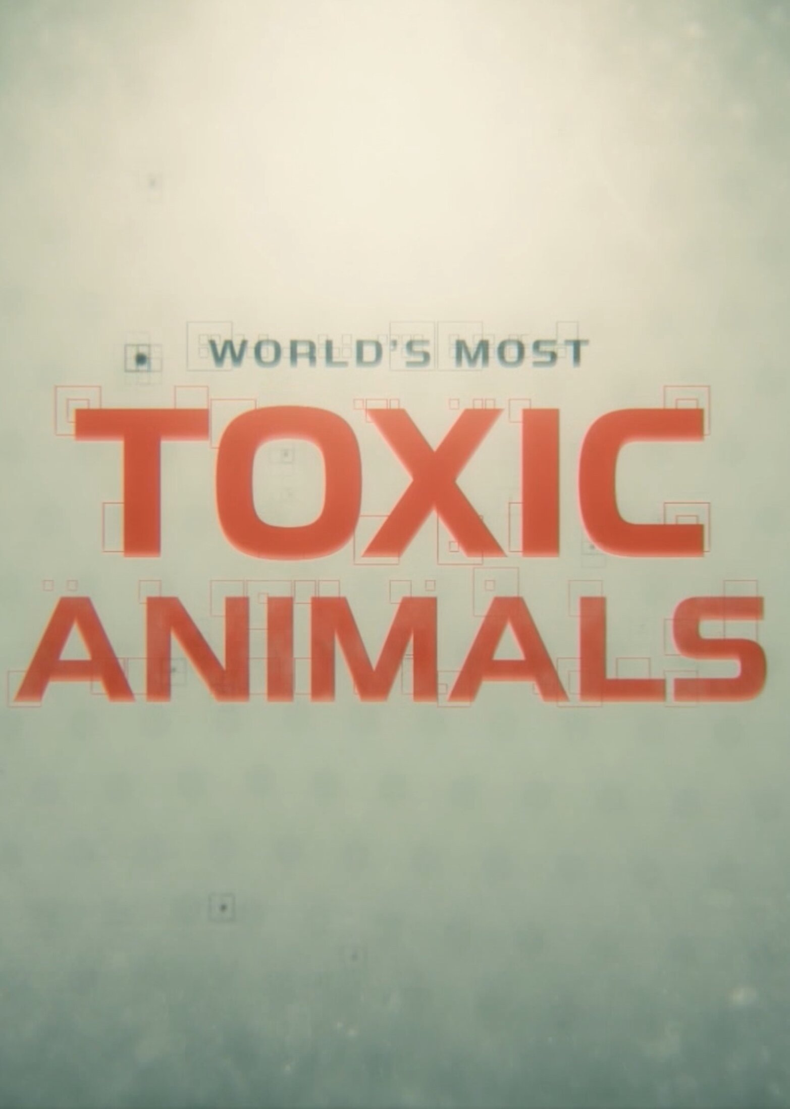 World's Most Toxic Animals ne zaman