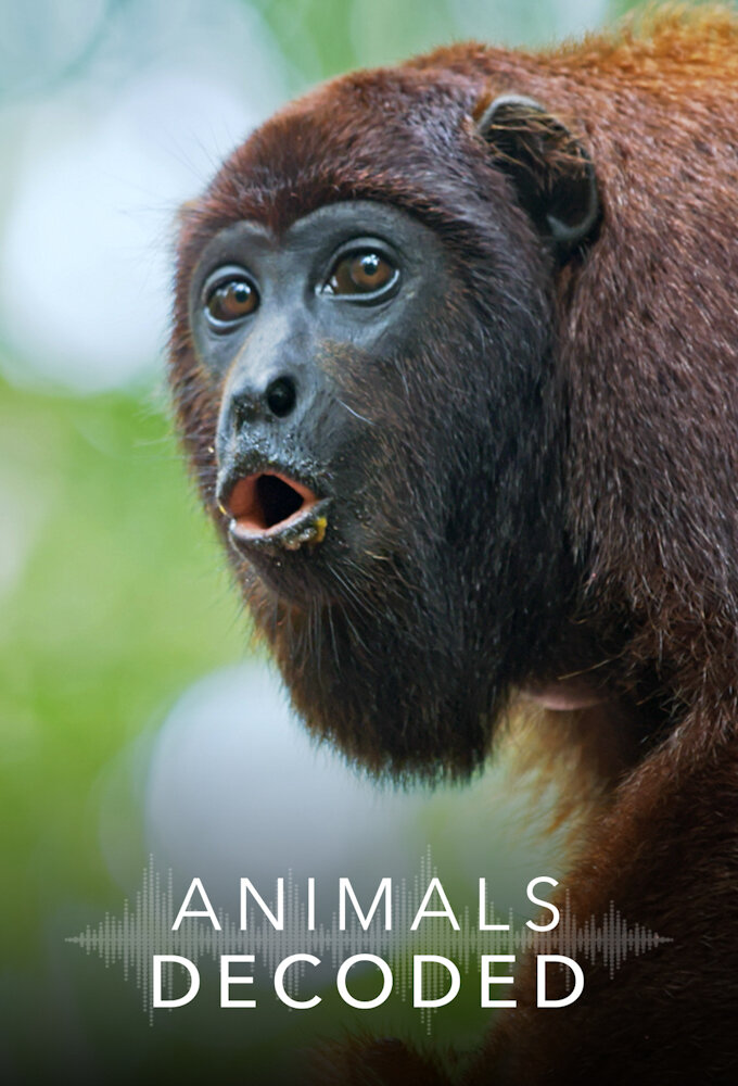Animals Decoded ne zaman