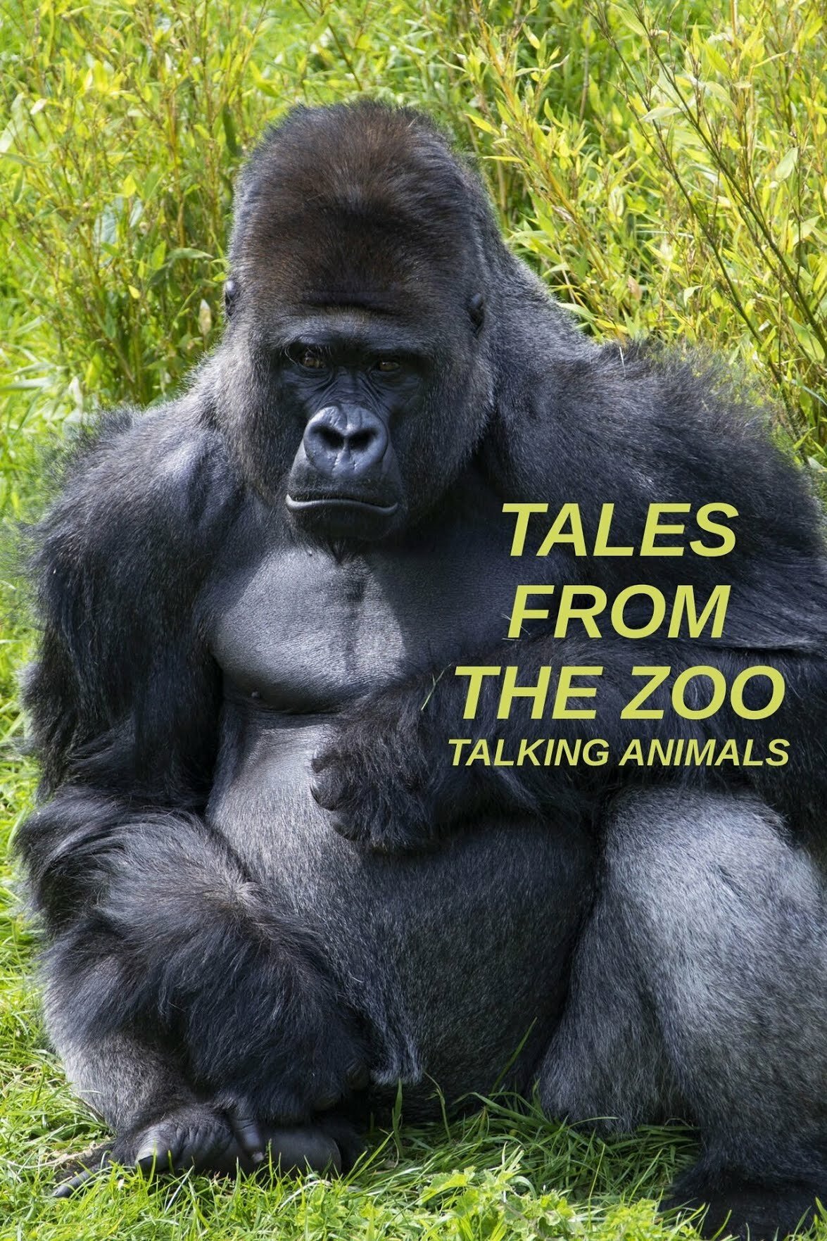 Tales from the Zoo: Talking Animals ne zaman