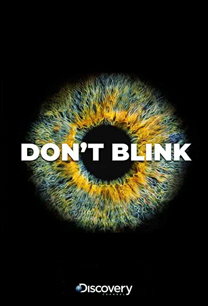 Don't Blink ne zaman