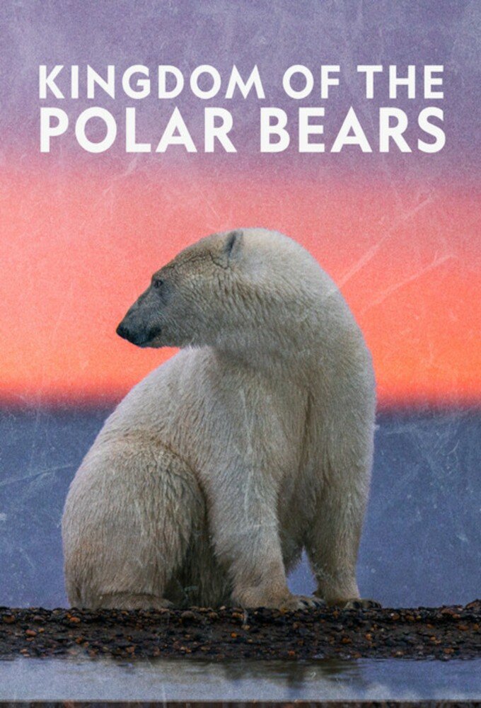 Kingdom of the Polar Bears ne zaman