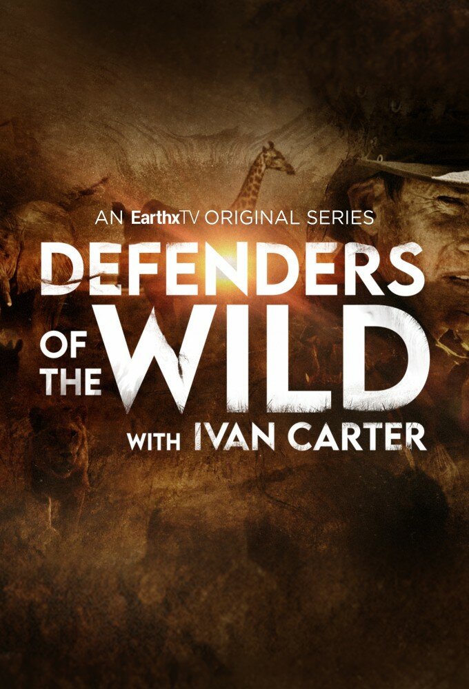 Defenders of the Wild ne zaman