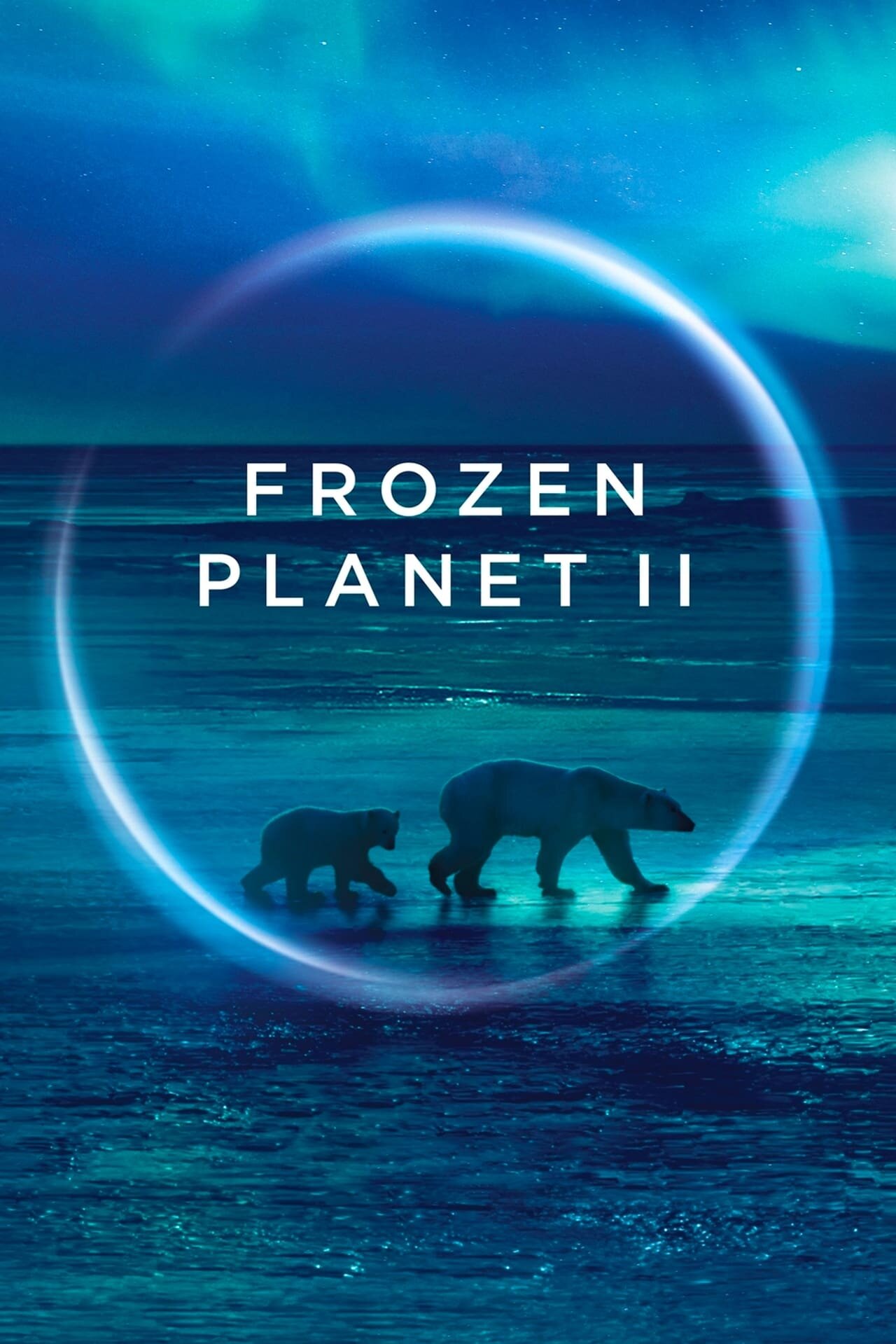 Frozen Planet II ne zaman