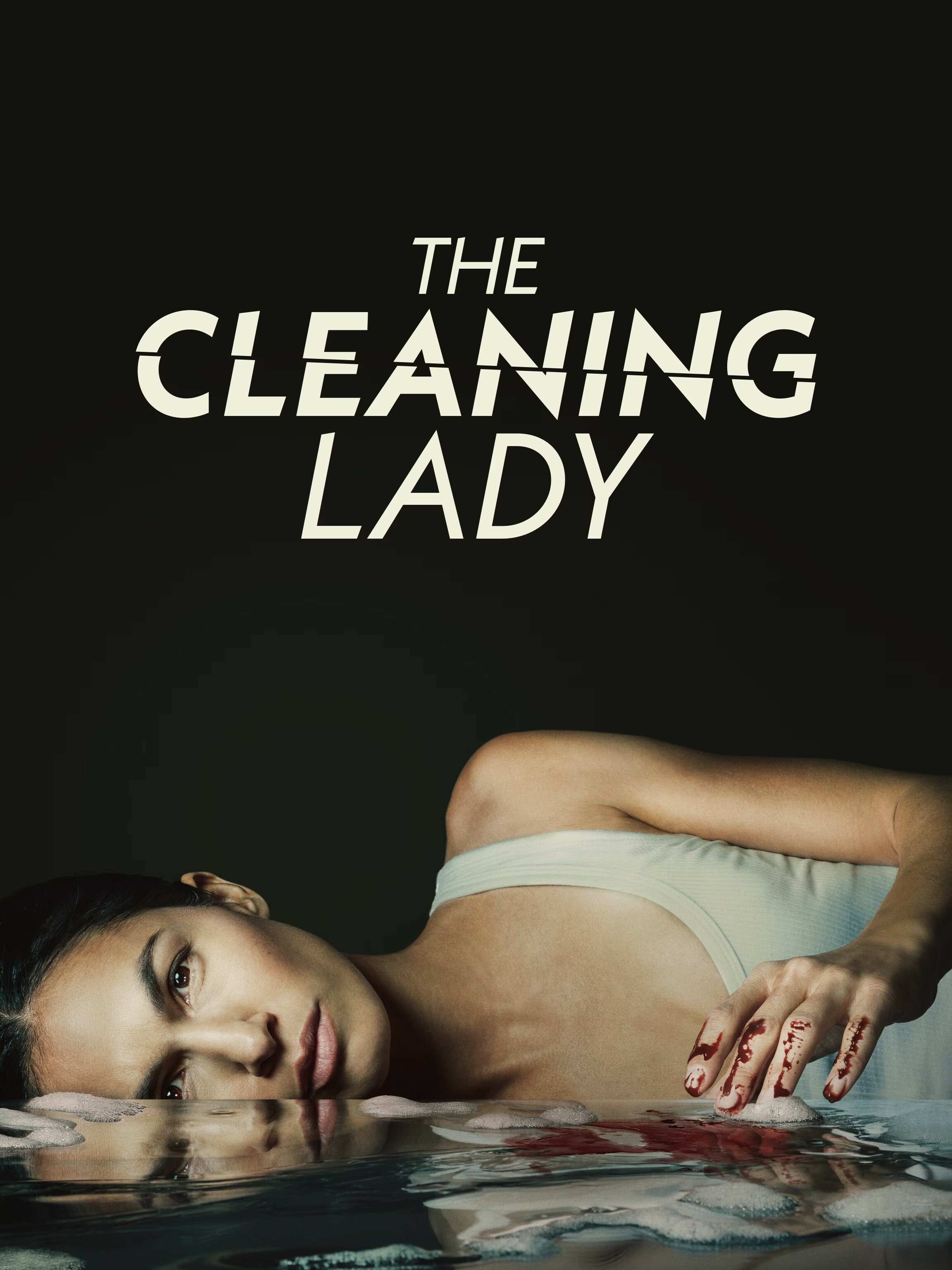 The Cleaning Lady ne zaman