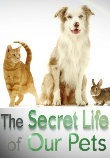 The Secret Life of Our Pets ne zaman