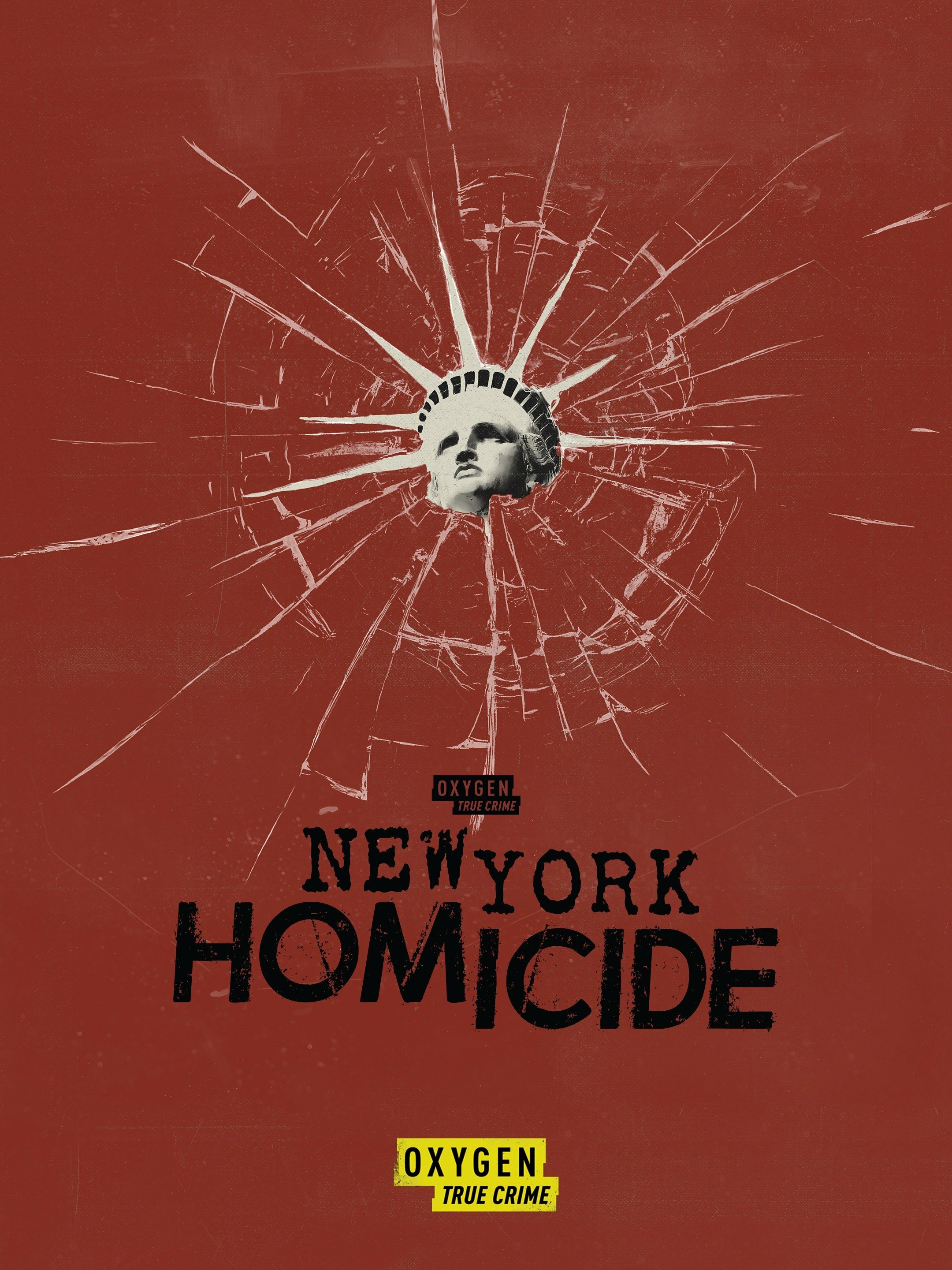 New York Homicide ne zaman
