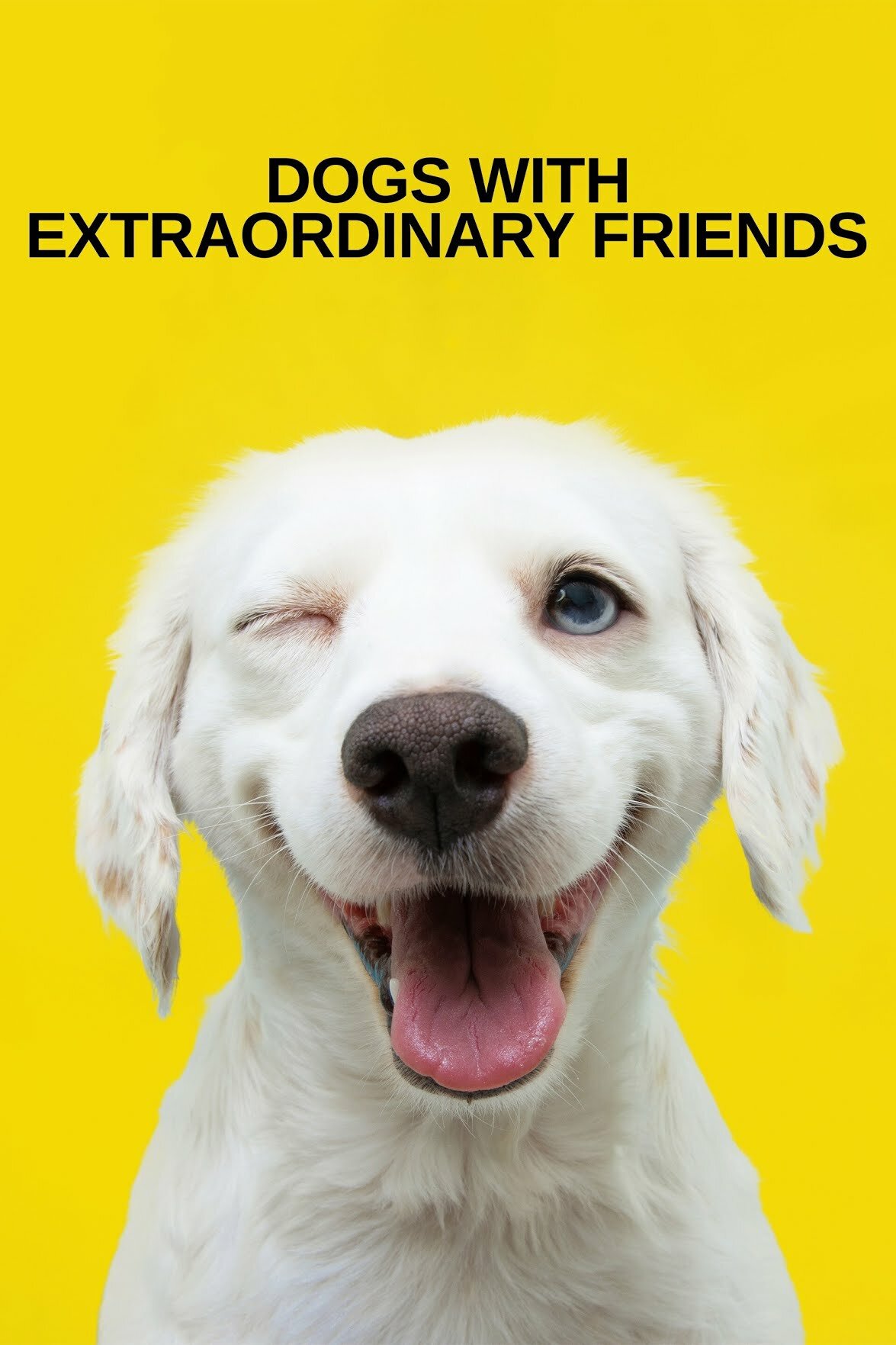 Dogs with Extraordinary Friends ne zaman