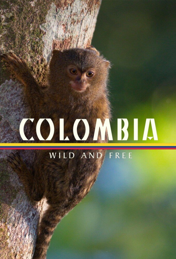 Colombia: Wild and Free ne zaman
