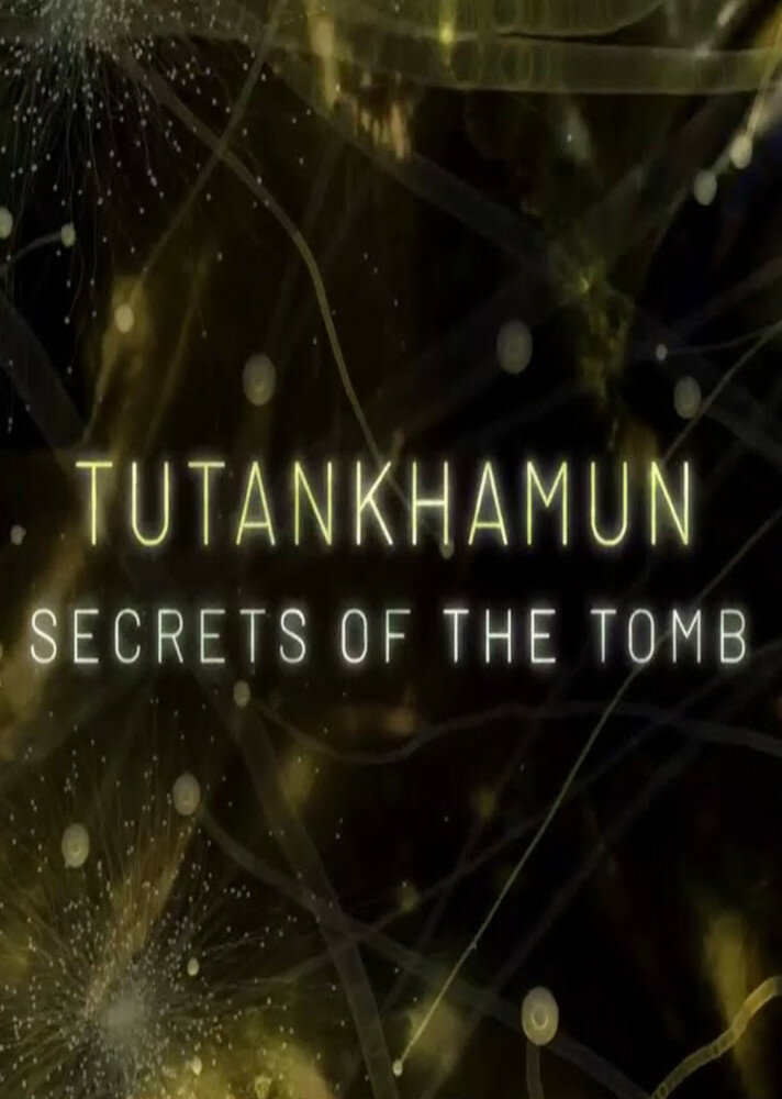 Tutankhamun: Secrets of the Tomb ne zaman