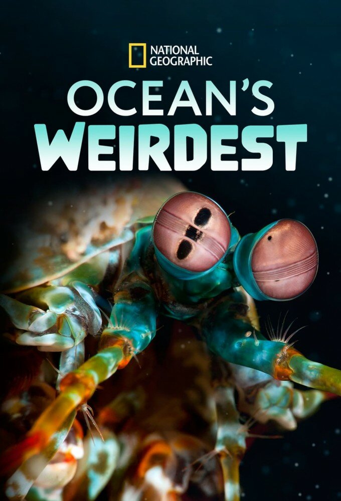 Ocean's Weirdest ne zaman
