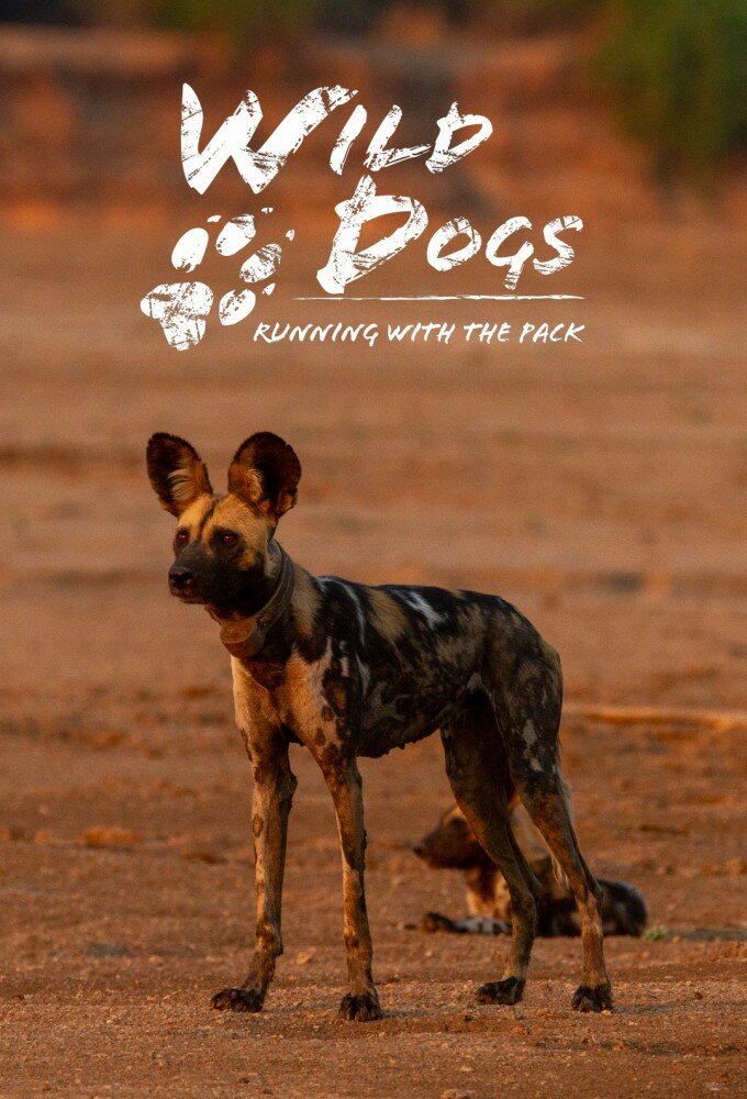 Wild Dogs: Running with the Pack ne zaman