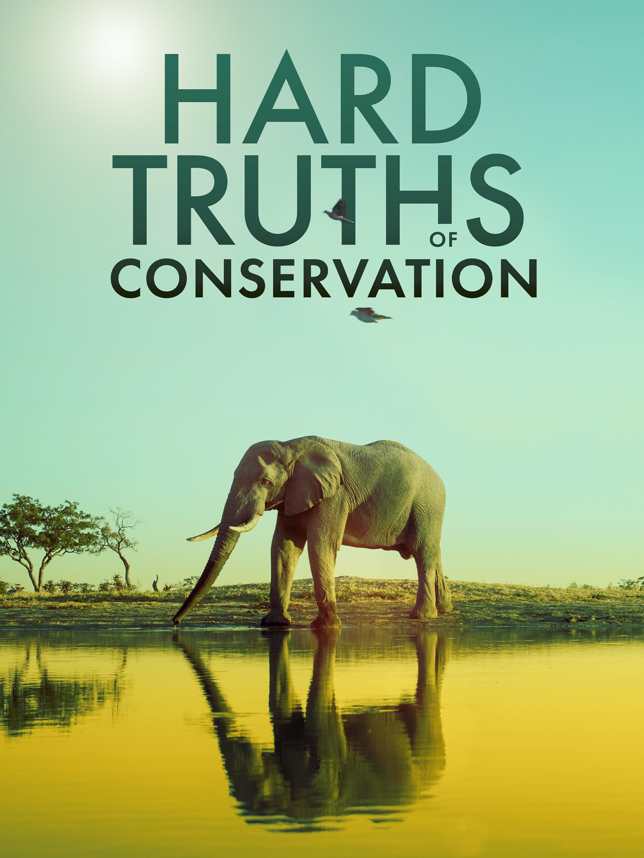 Hard Truths of Conservation ne zaman