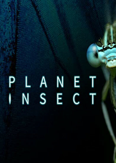 Planet Insect ne zaman