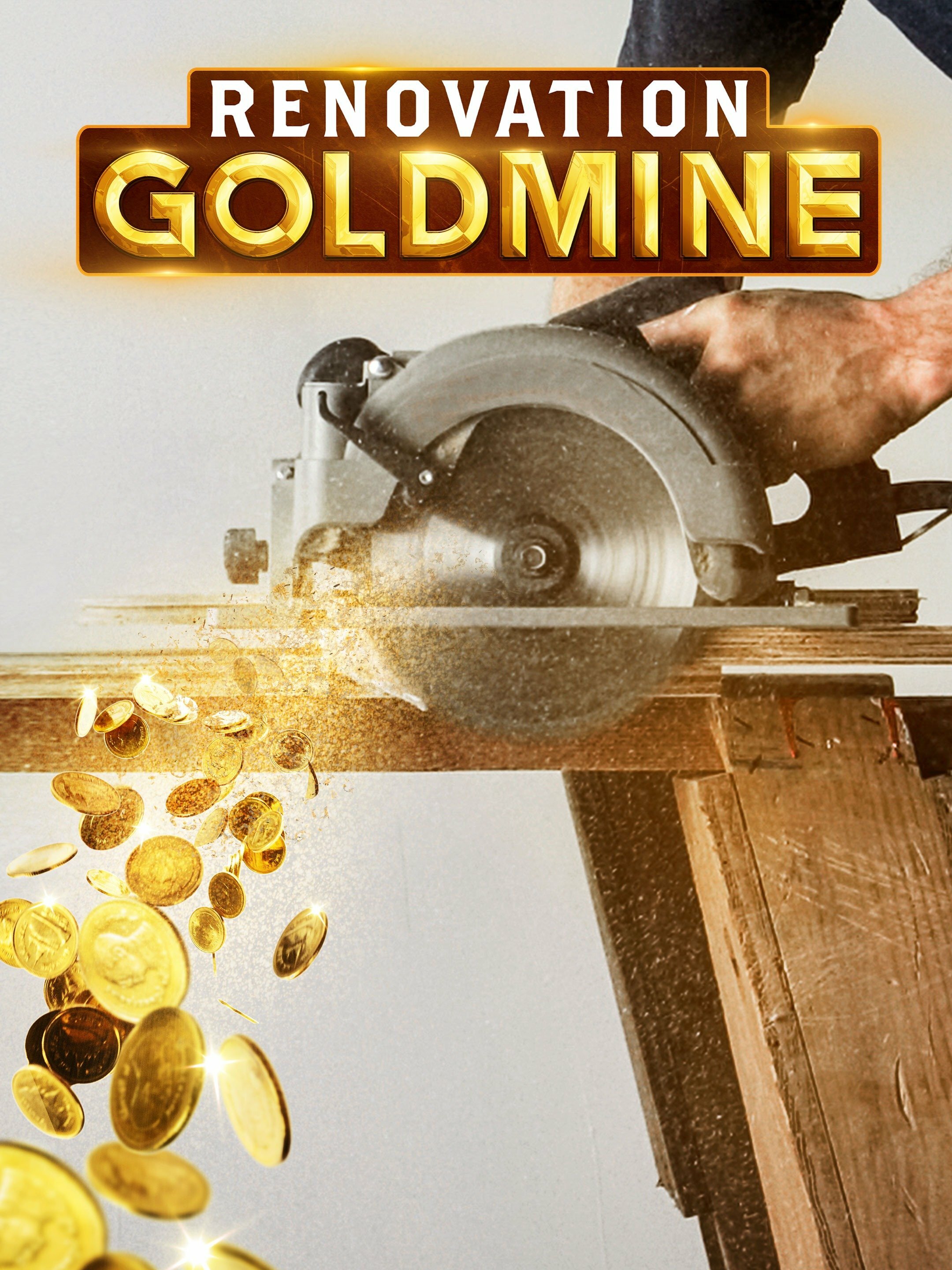 Renovation Goldmine ne zaman