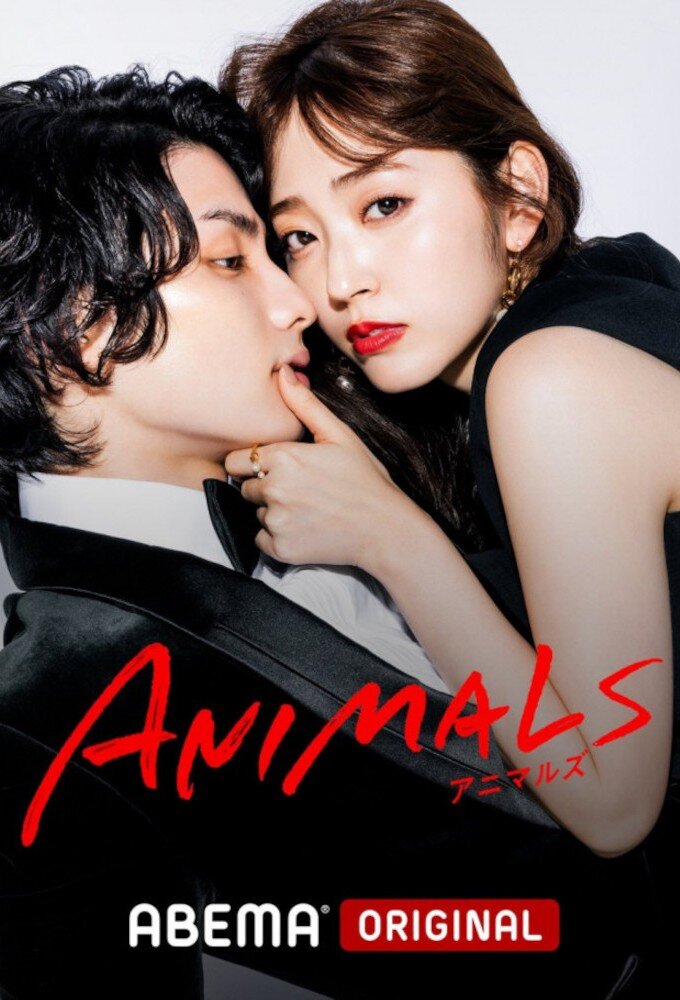 Animals ne zaman