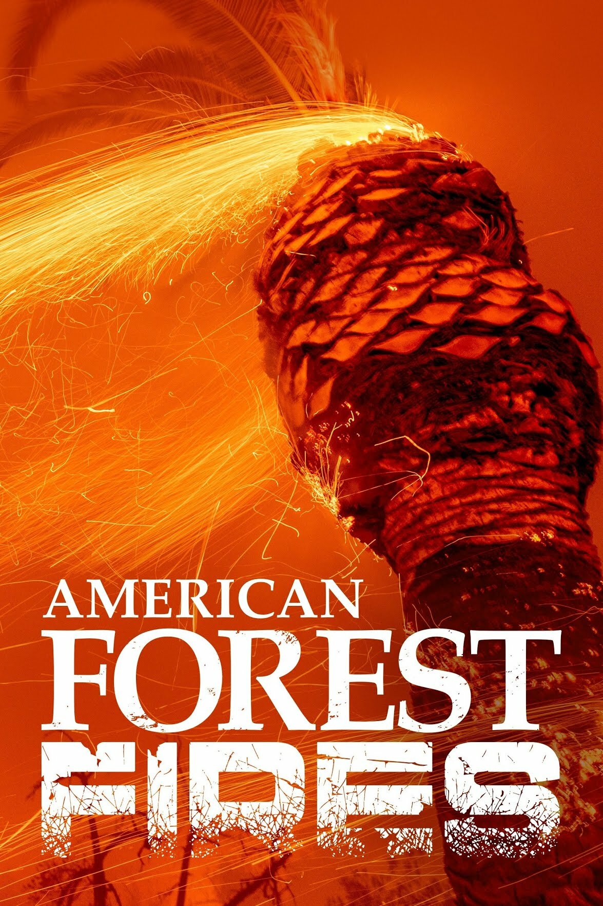 American Forest Fires: The Untold Story ne zaman