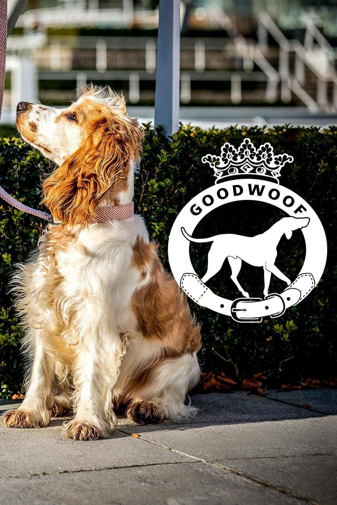 Goodwoof ne zaman