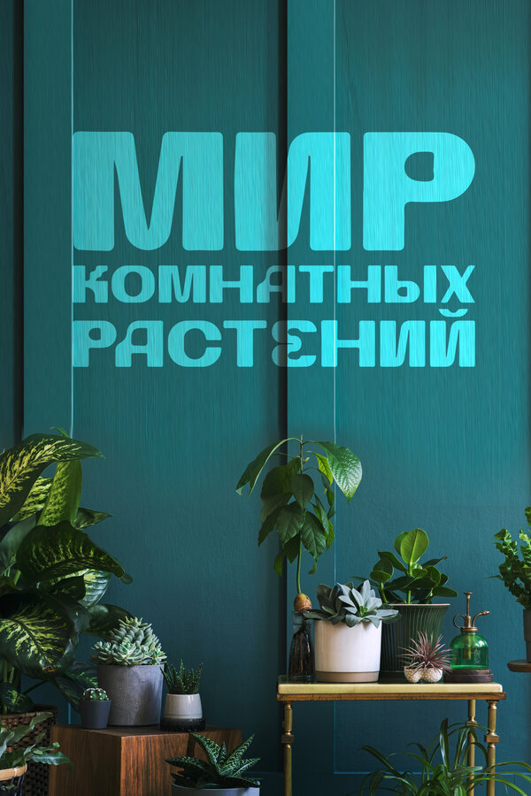 Мир комнатных растений ne zaman