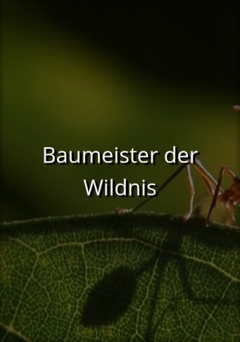Baumeister der Wildnis ne zaman