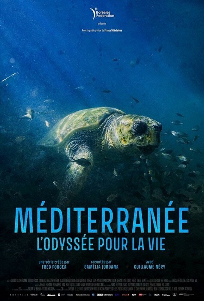 Méditerranée, l'odyssée pour la vie ne zaman