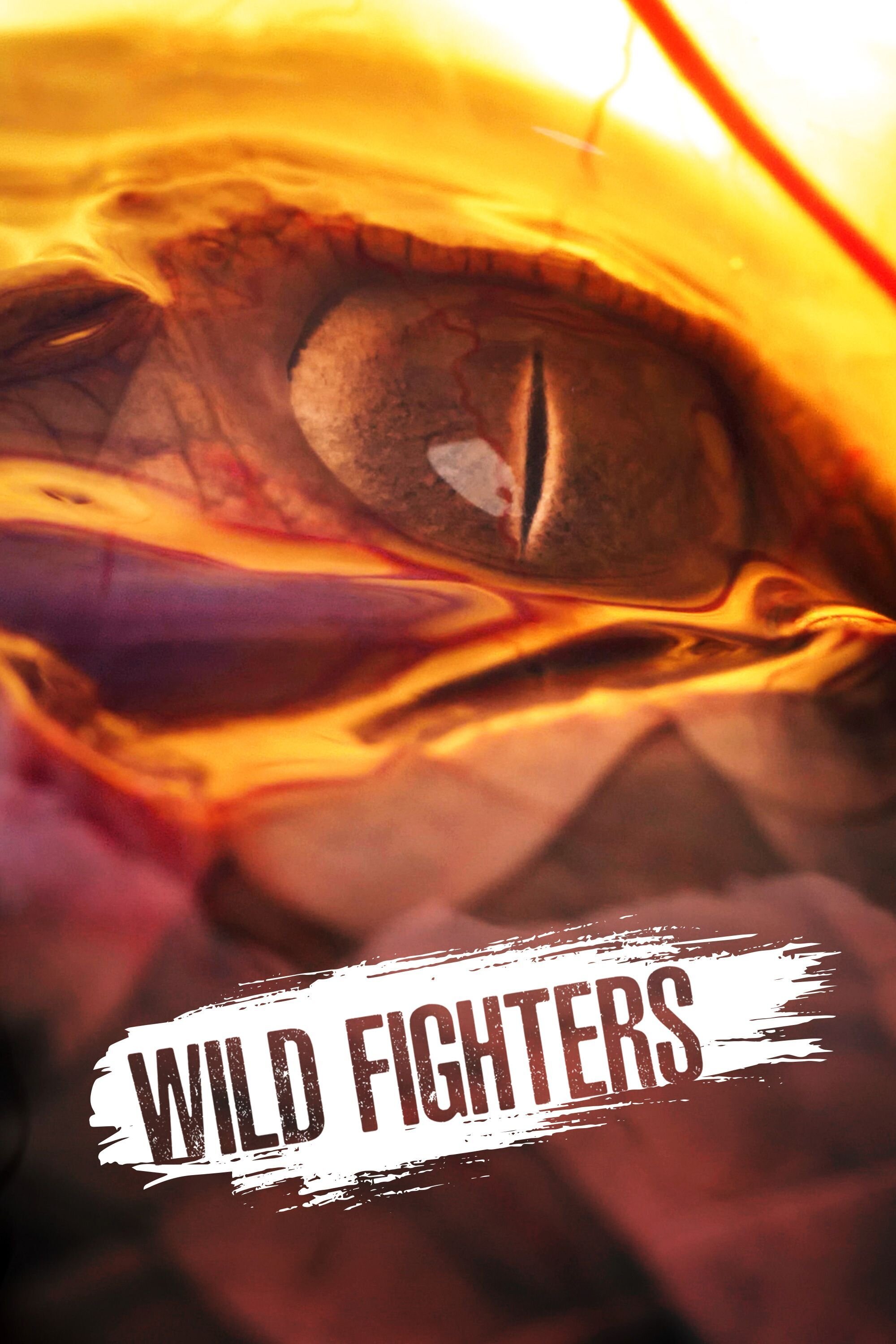 Wild Fighters ne zaman
