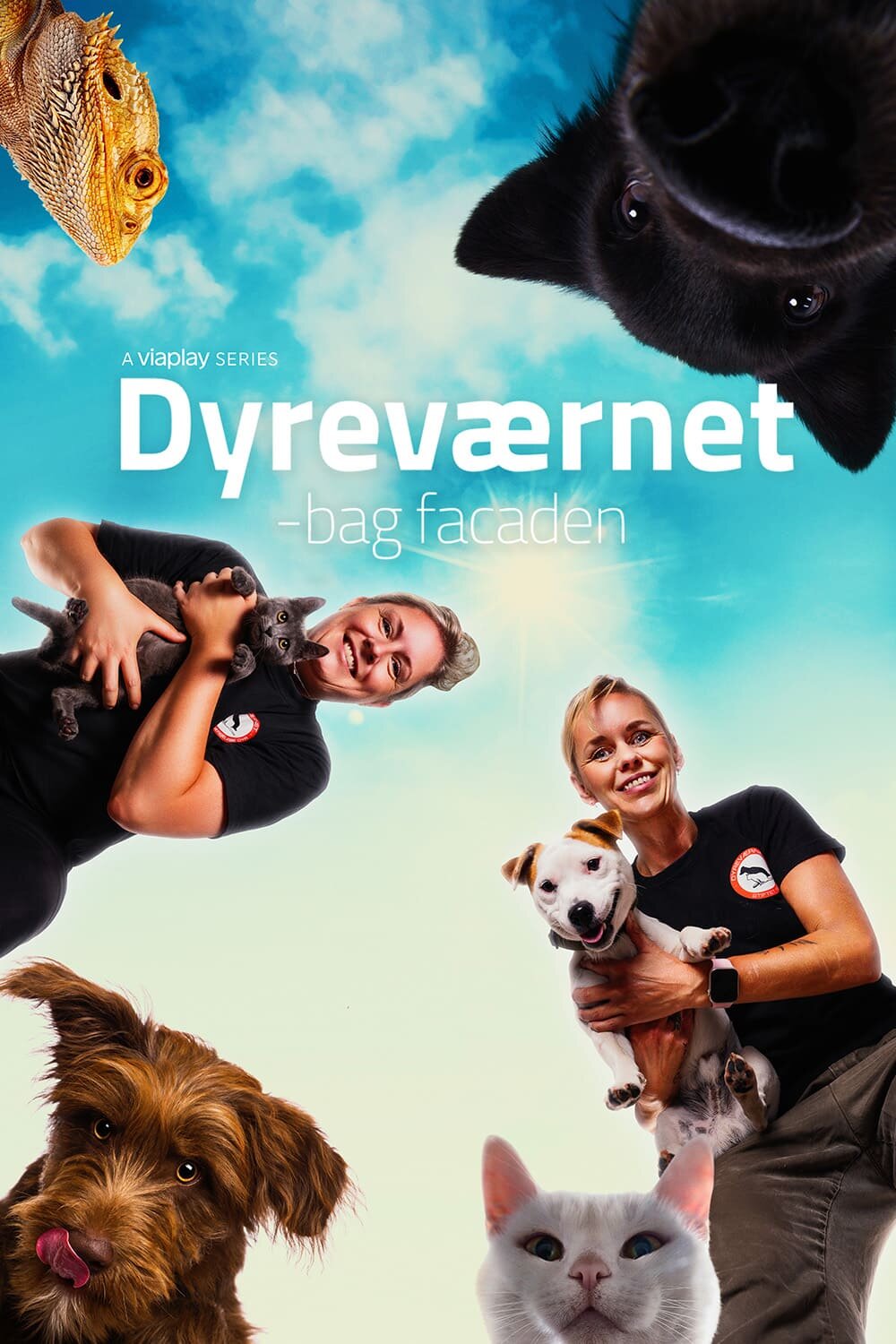 Dyreværnet – bag facaden ne zaman