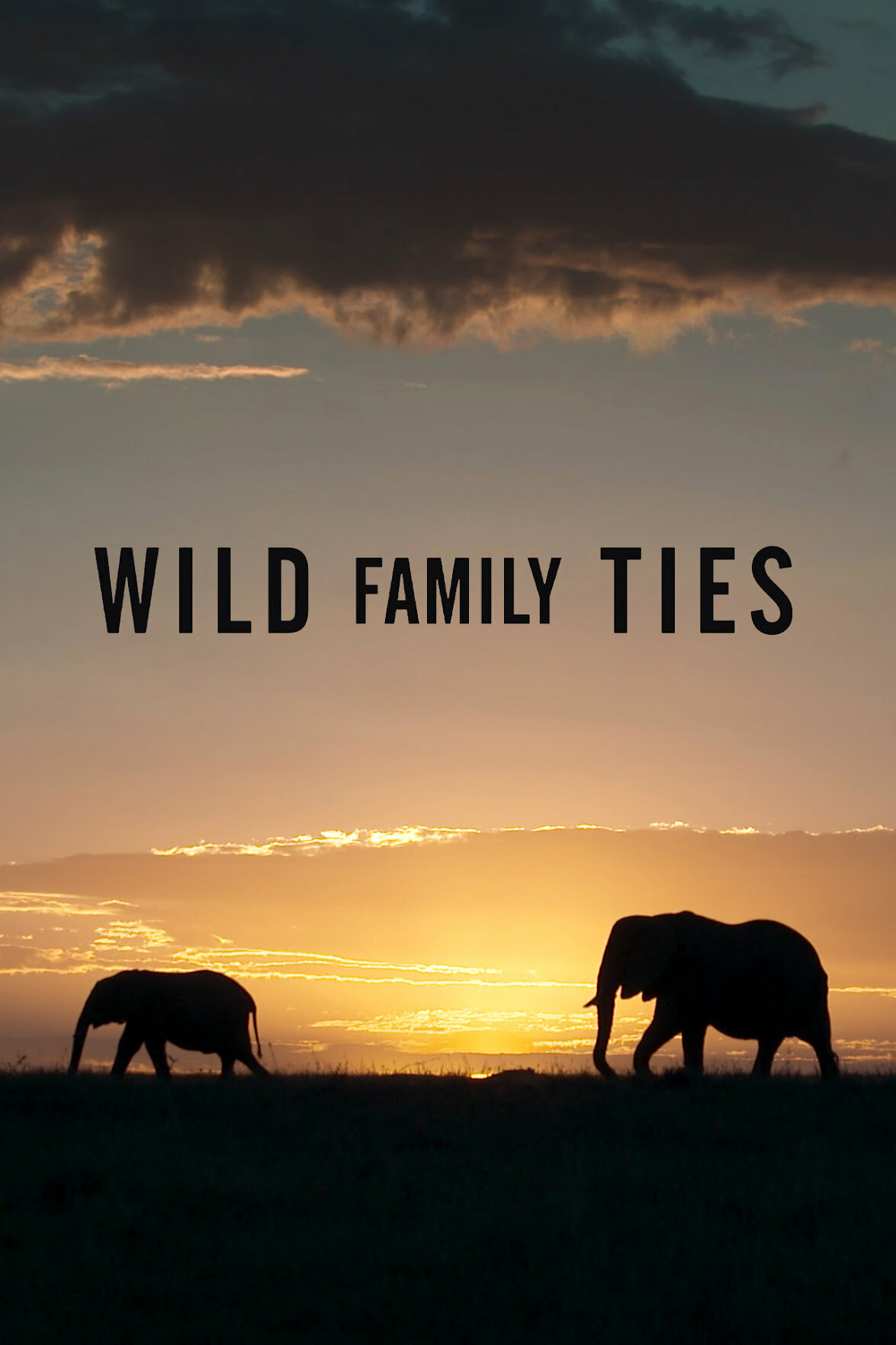 Wild Family Ties ne zaman