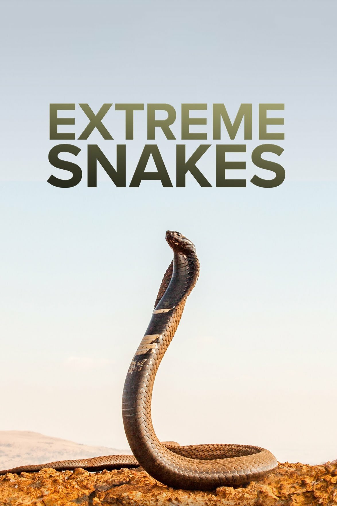 Extreme Snakes ne zaman