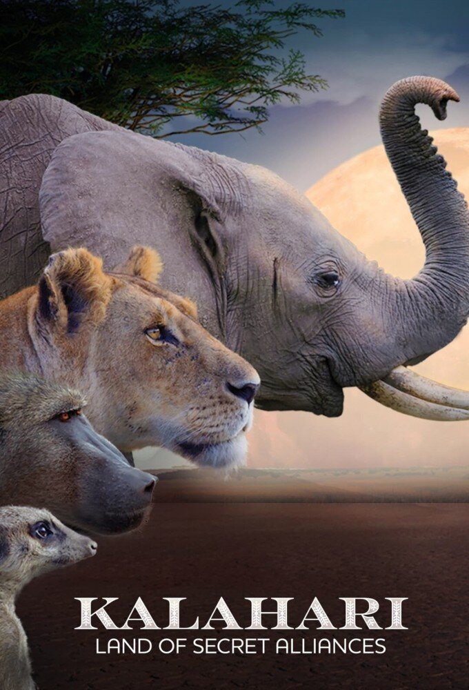Kalahari: Land of the Secret Alliances ne zaman