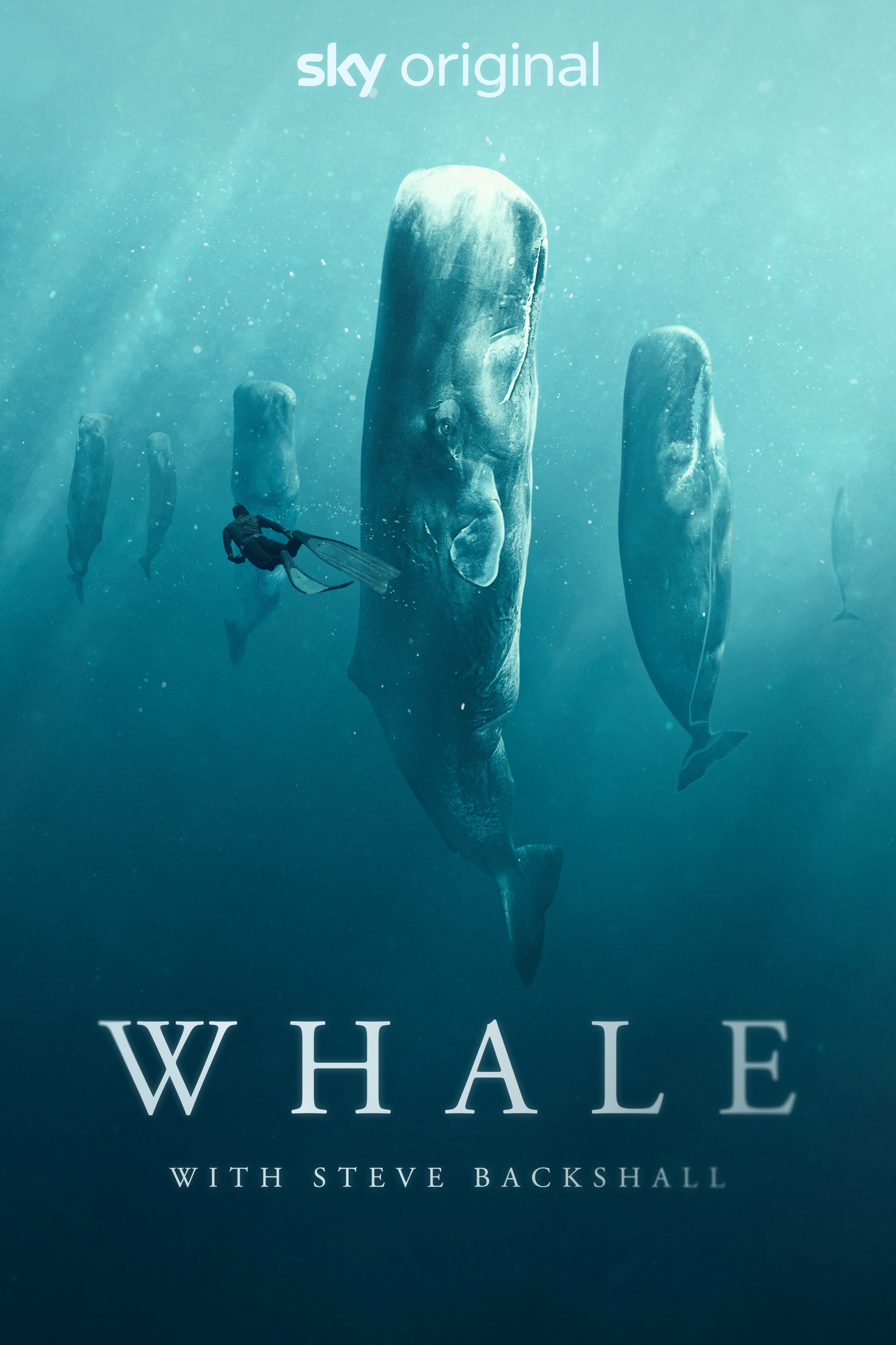 Whale with Steve Backshall ne zaman