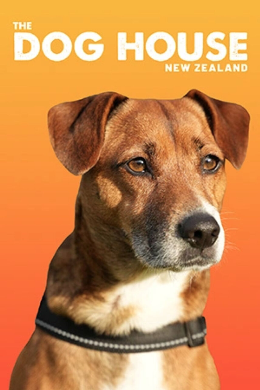 The Dog House NZ ne zaman