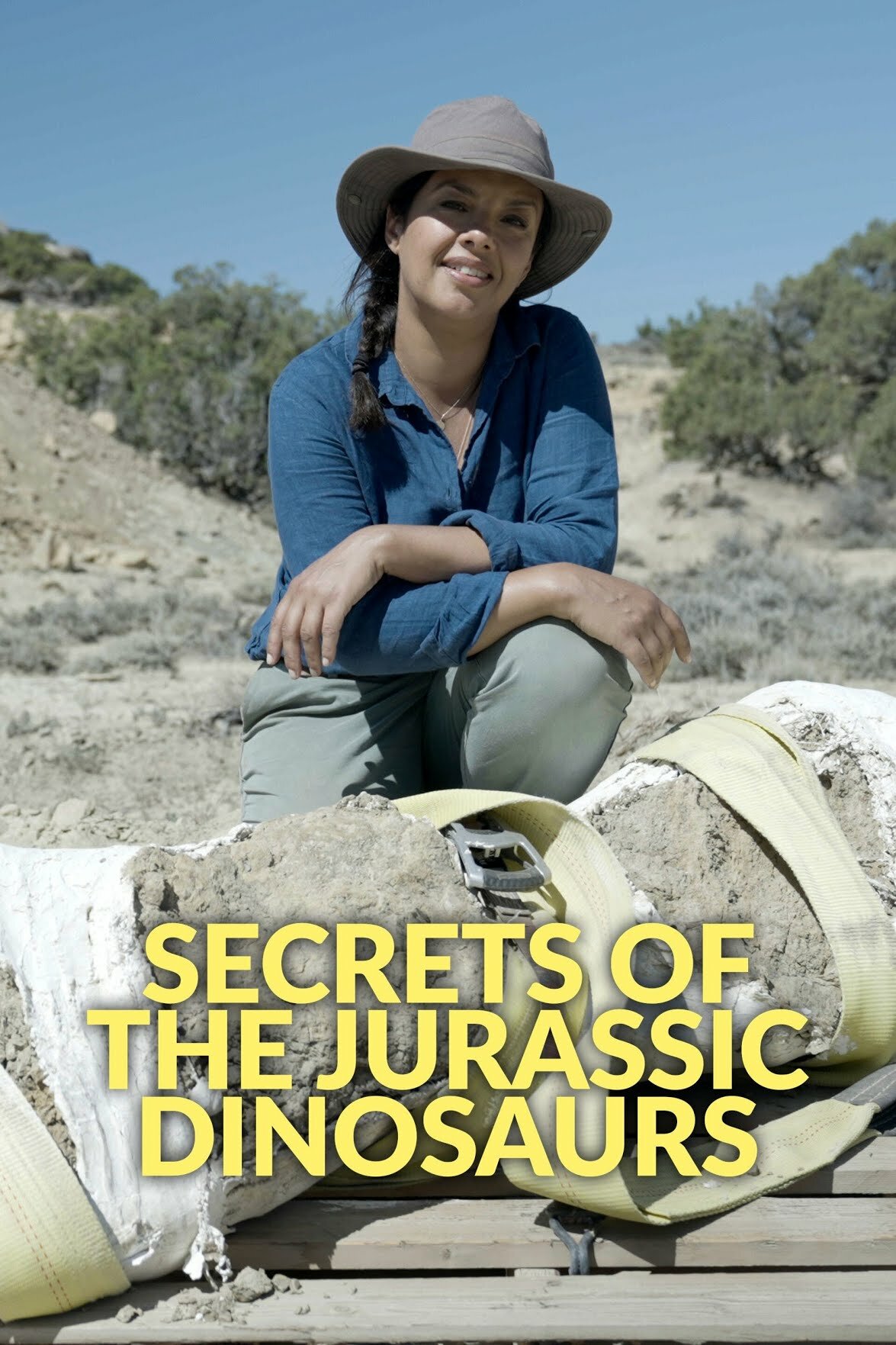 Secrets of the Jurassic Dinosaurs ne zaman