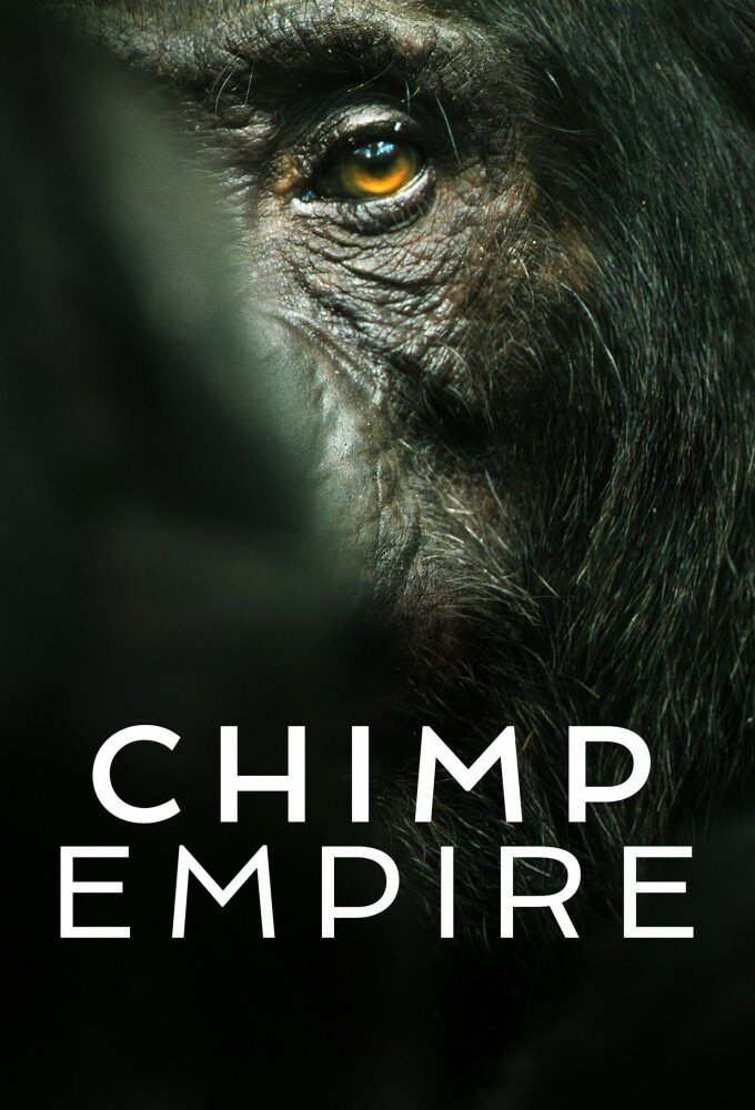 Chimp Empire ne zaman