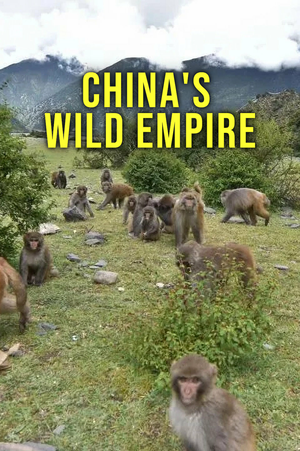 China's Wild Empire ne zaman