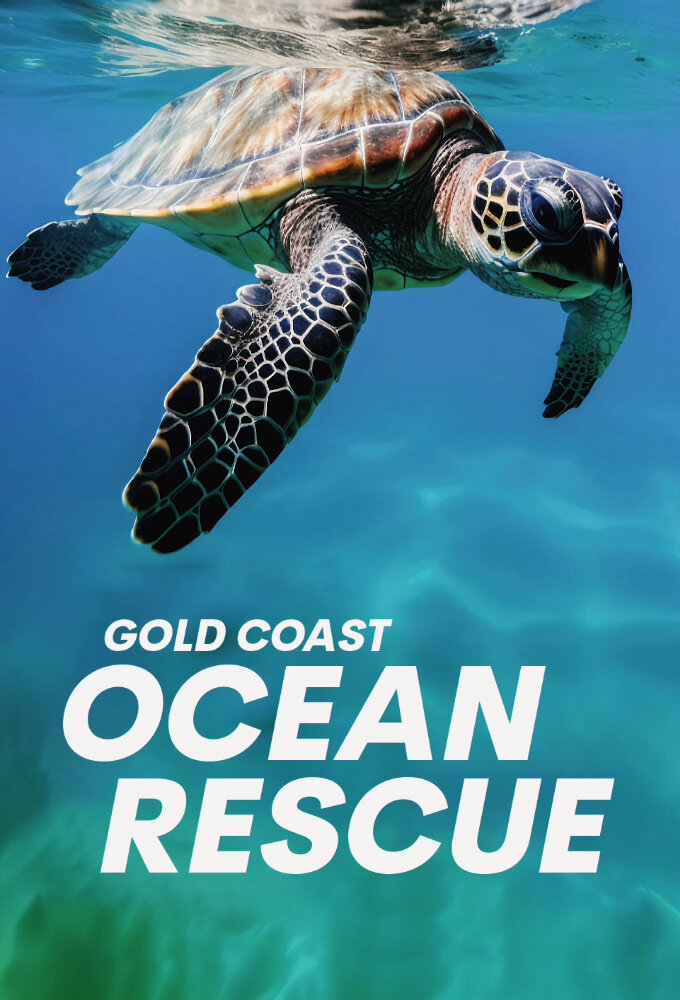 Gold Coast Ocean Rescue ne zaman