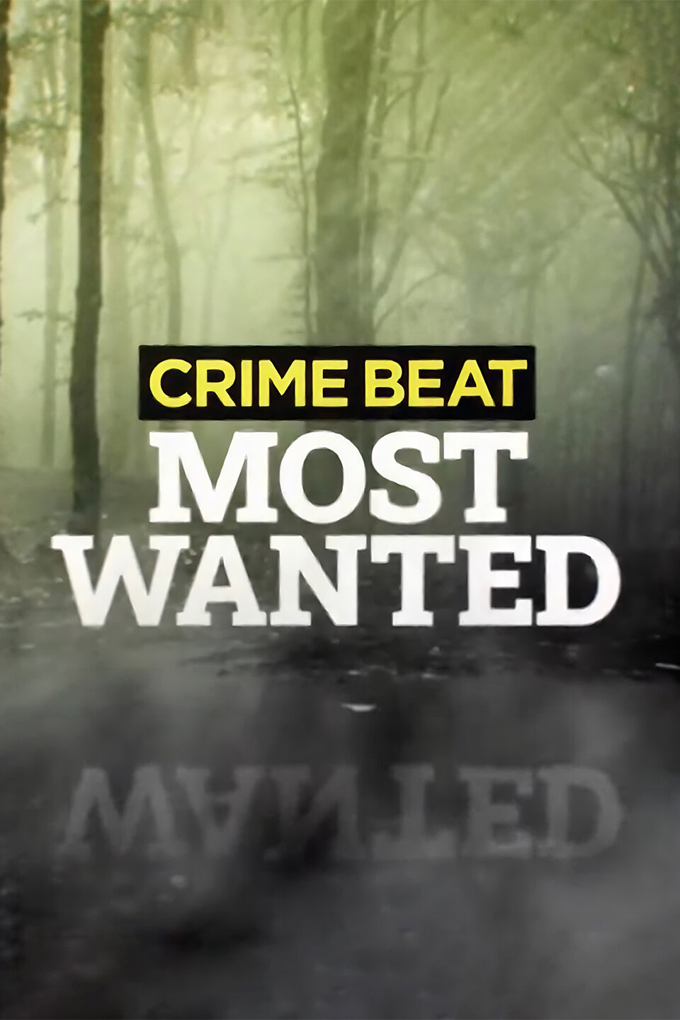 Crime Beat: Most Wanted ne zaman