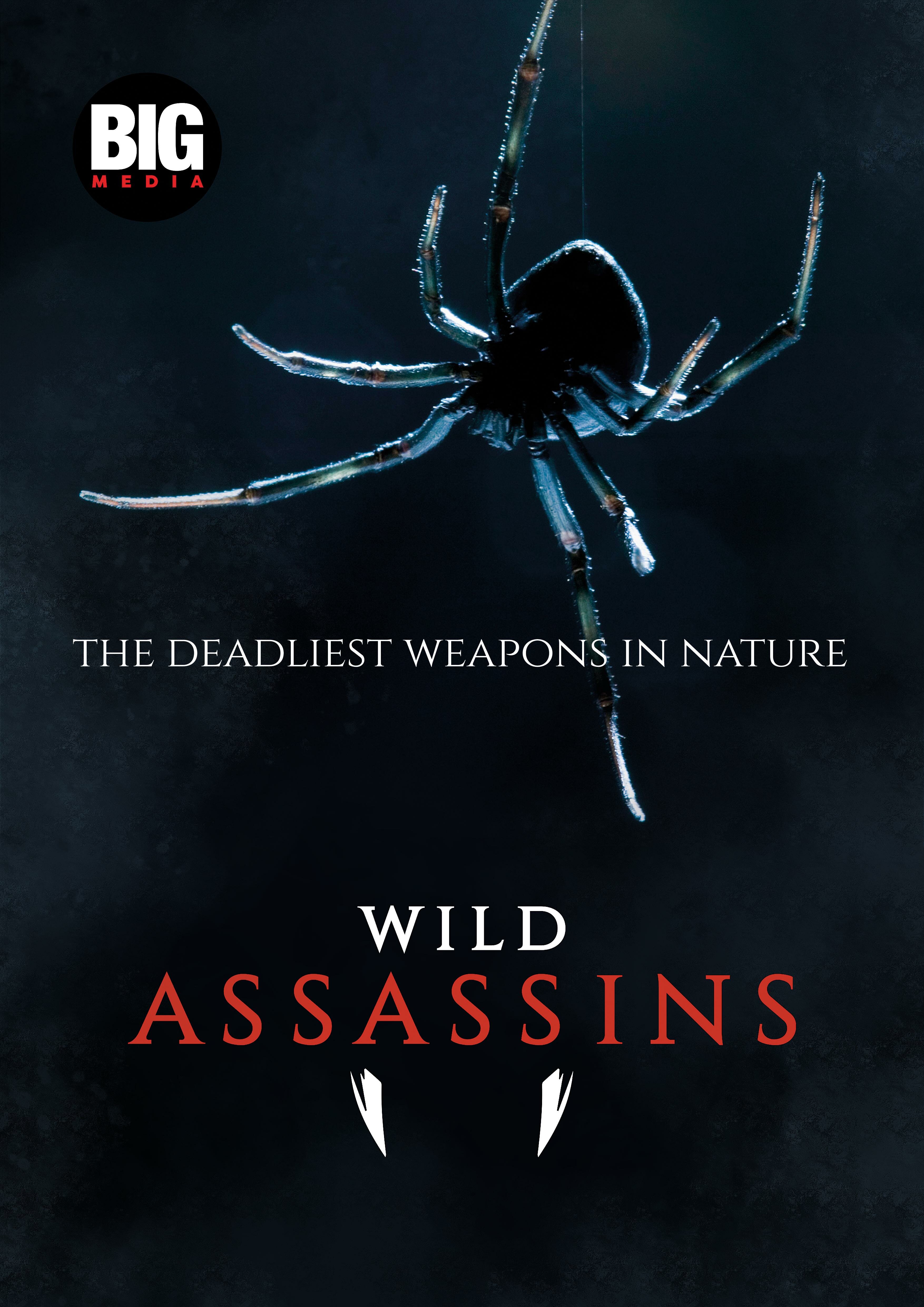 Wild Assassins ne zaman