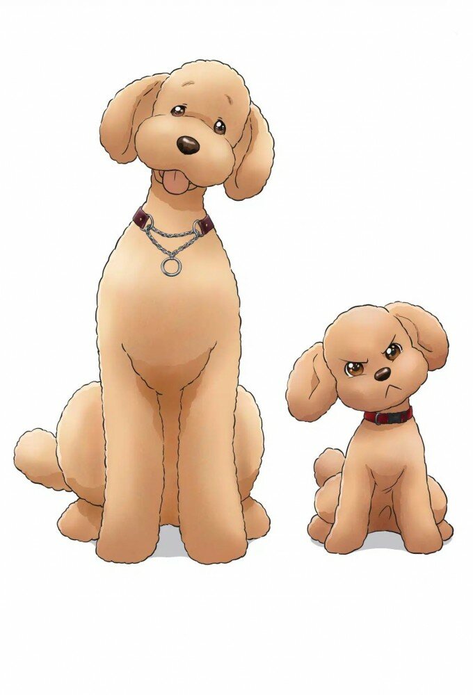 Dog Signal ne zaman
