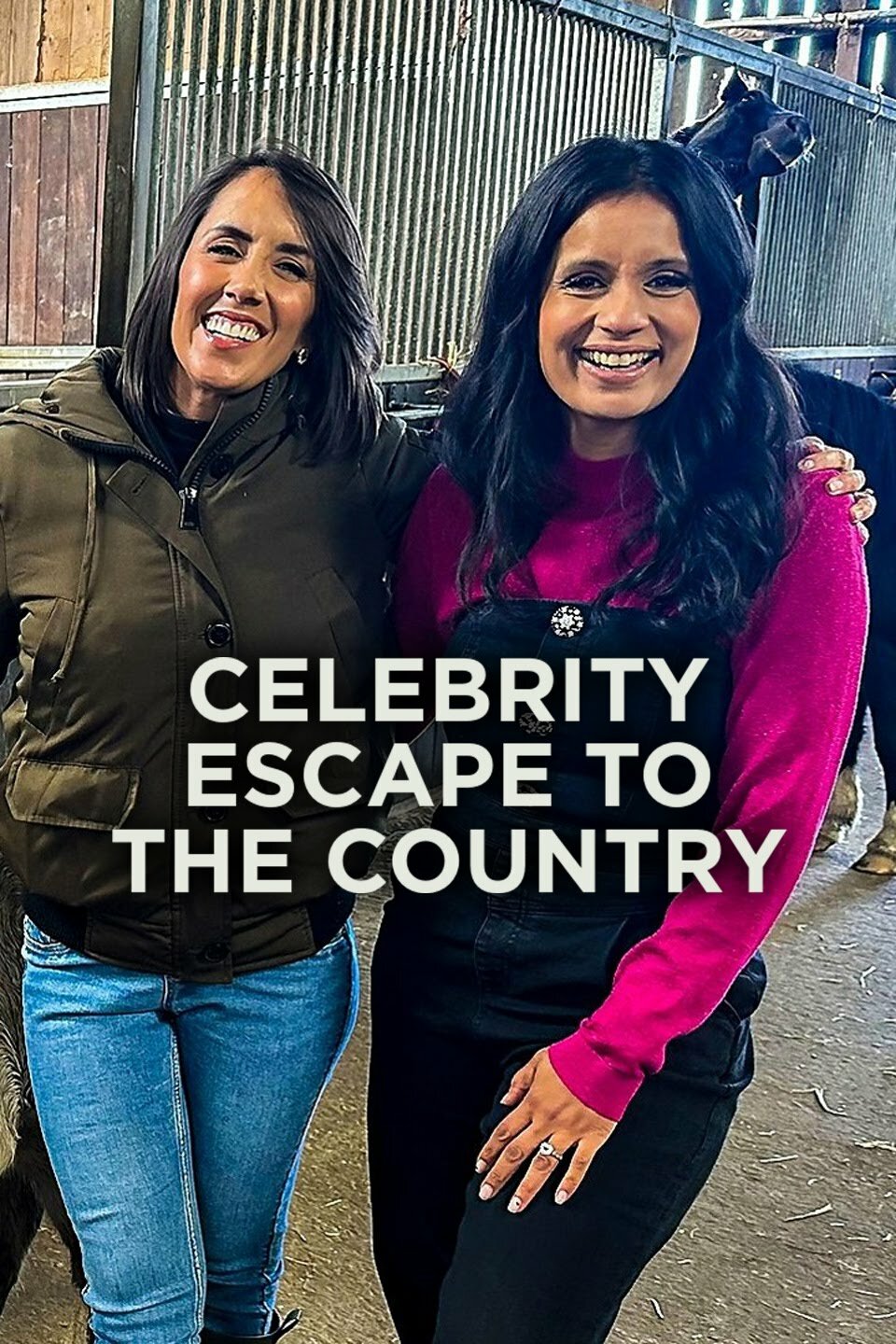 Celebrity Escape to the Country ne zaman