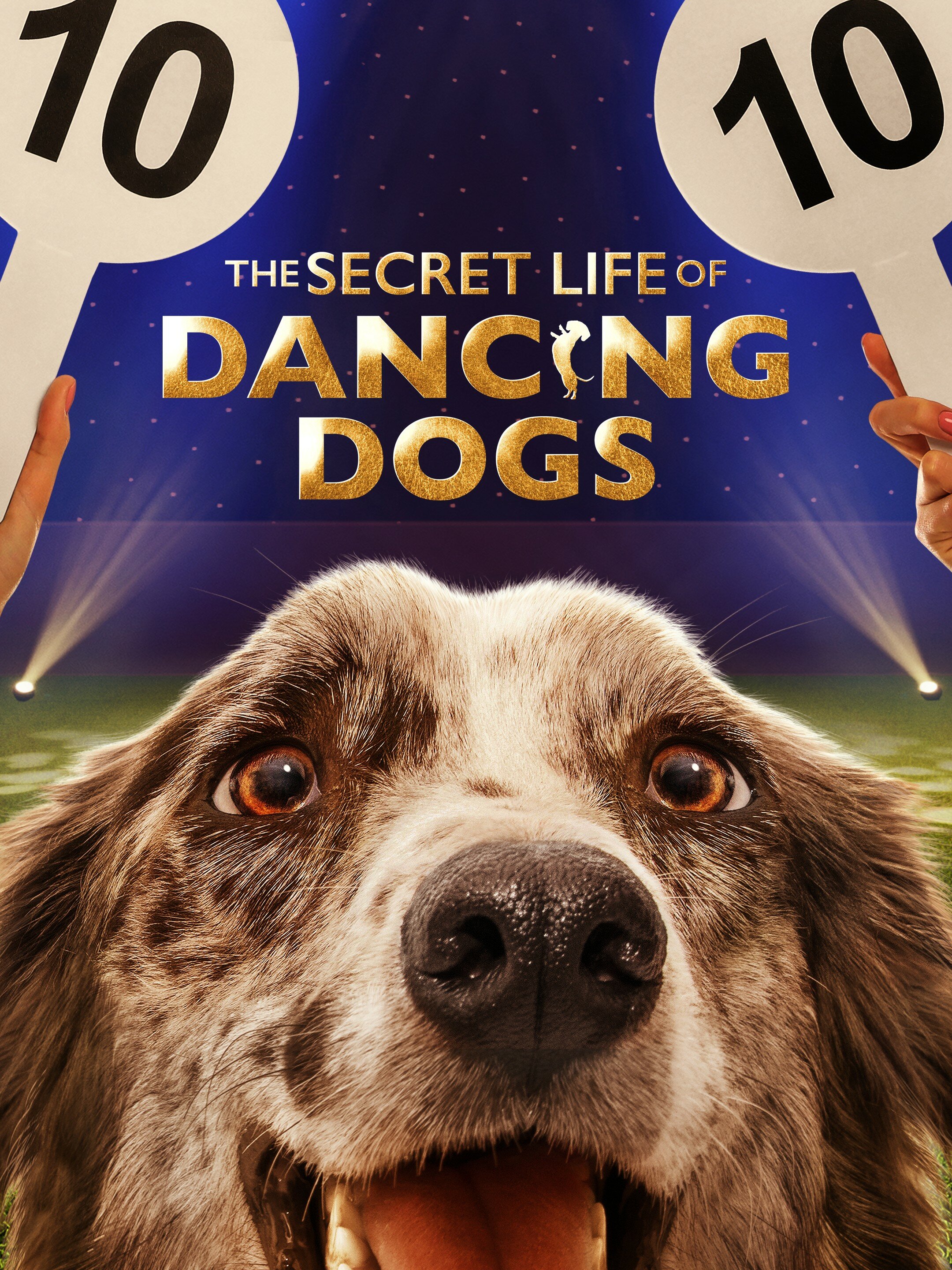 The Secret Life of Dancing Dogs ne zaman